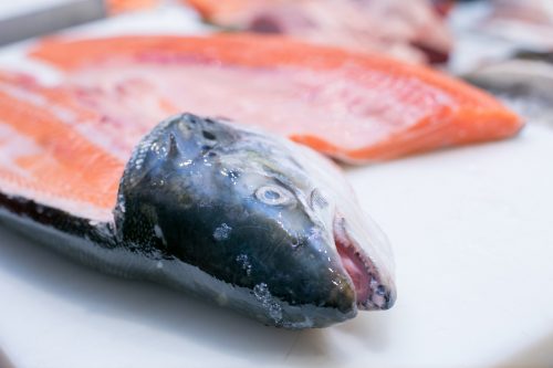 Filetierter Lachs enthält eine ganze Reihe wichtiger Nährstoffe wie Eiweiß, verschiedene Vitamine, Jod oder Selen. Foto: Karolin Krämer/dpa-tmn