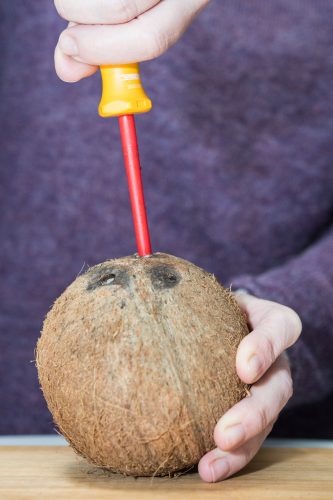 Mit einem Schraubenzieher in zwei der schwarzen Stellen der Kokosnuss ein Loch bohren. Foto: Franziska Gabbert