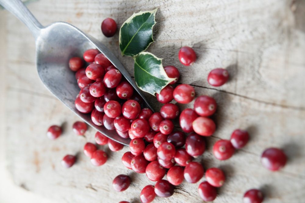 Frische Cranberrys sind sauer und nur gekocht genießbar Apéro