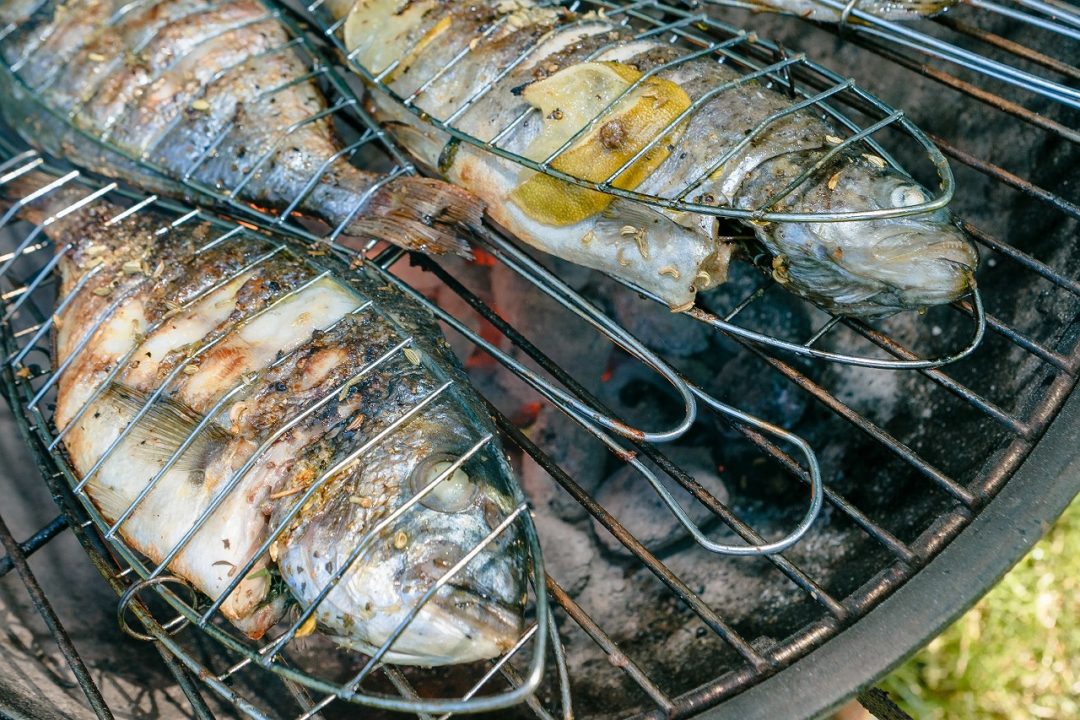 Forelle und Dorade: Auf den Grill kommt Fisch mit festem Fleisch – Apéro